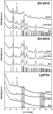 Microbial Reduction of Natural Fe(III) Minerals; Toward the Sustainable Production of Functional Magnetic Nanoparticles